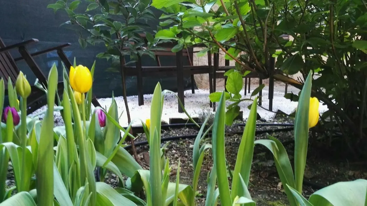 Appartamento Casa Deva Firenze Italia